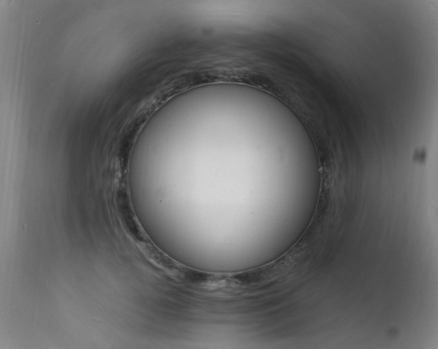 X0000112150752200908071002