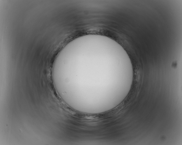 X0000112150753200908071002