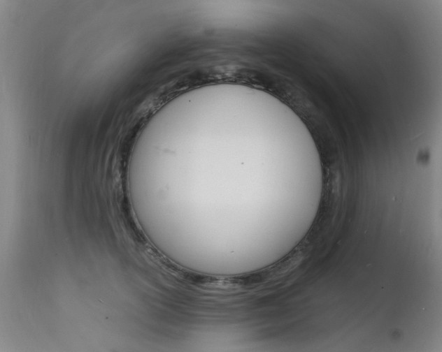 X0000112150754200908071002