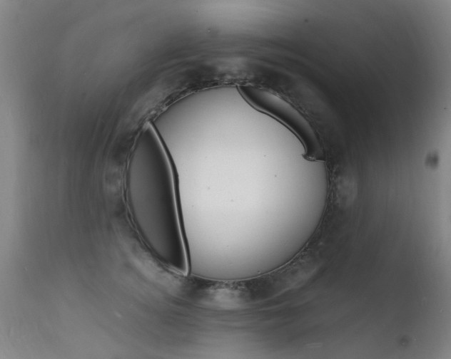 X0000112150756200908071002