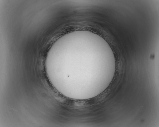 X0000112150757200908071002