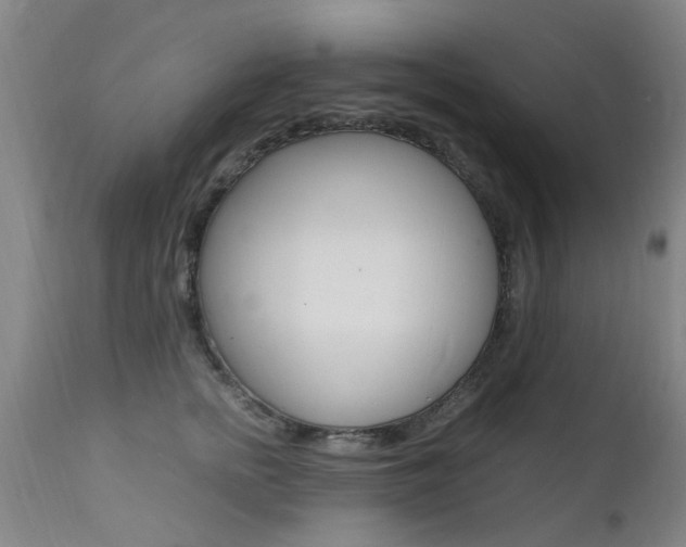 X0000112150758200908071002