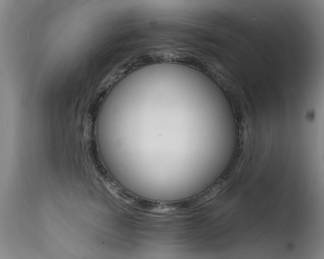X0000112150760200908071002
