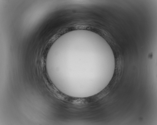 X0000112150761200908071002