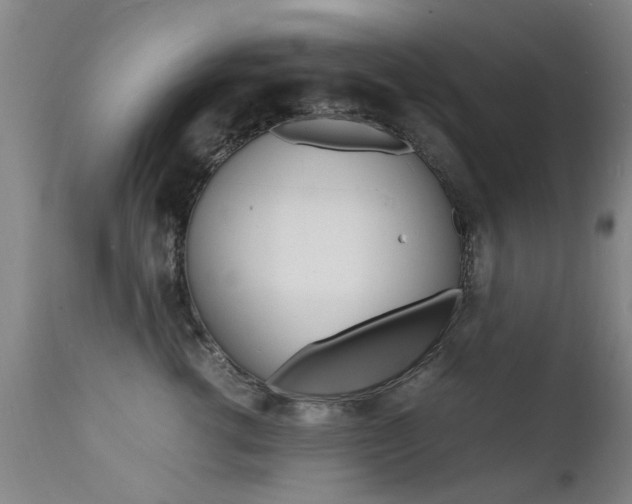X0000112150762200908071002