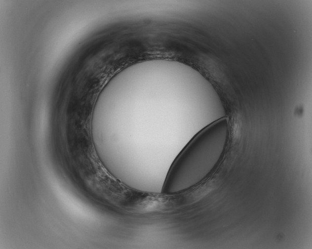 X0000112150764200908071003