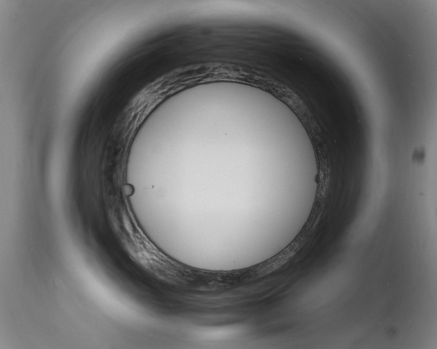 X0000112150765200908071003