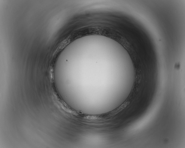 X0000112150766200908071003