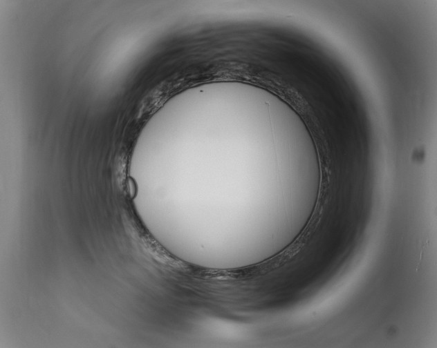X0000112150767200908071003