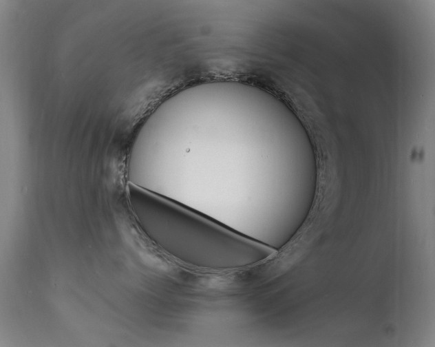 X0000112150768200908071003