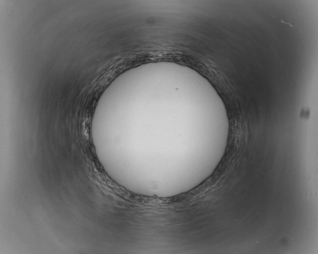 X0000112150770200908071002