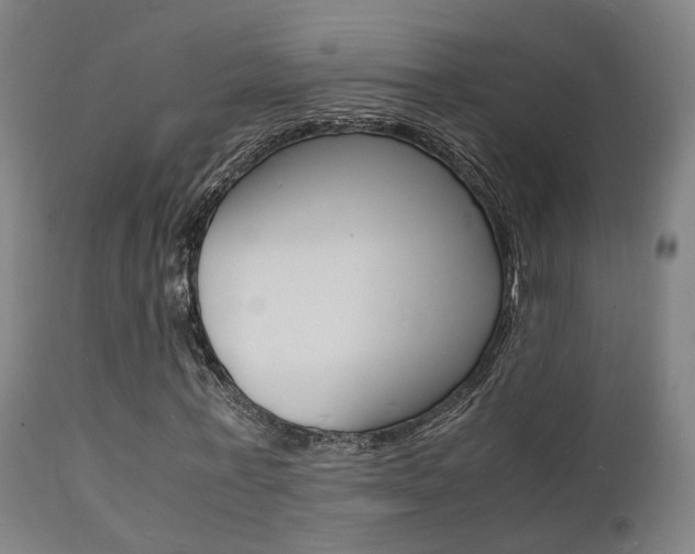 X0000112150771200908071002