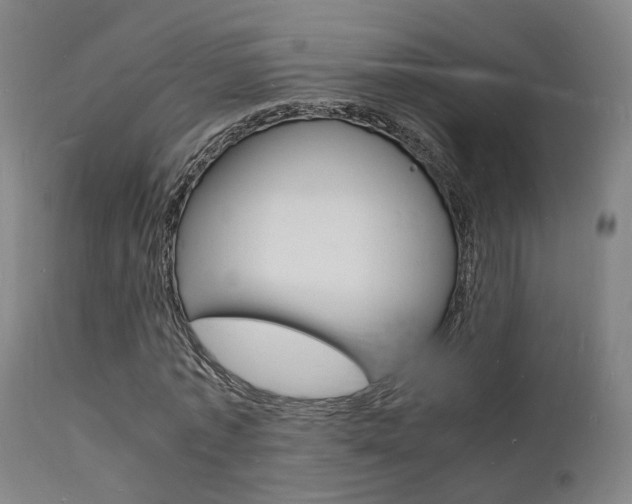 X0000112150773200908071002