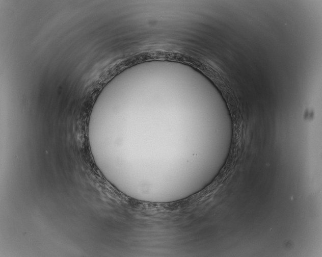 X0000112150774200908071002