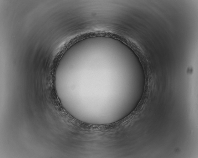 X0000112150776200908071002