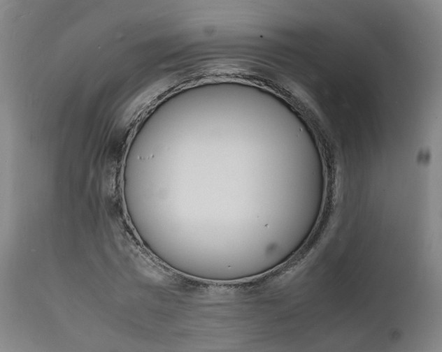 X0000112150777200908071002