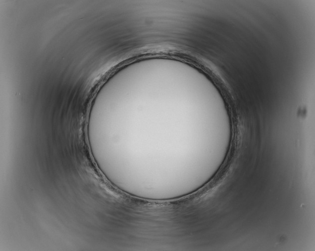 X0000112150778200908071002