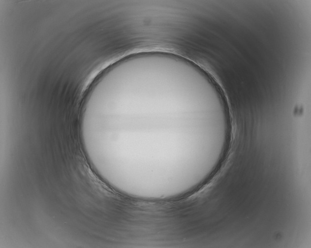X0000112150781200908071002