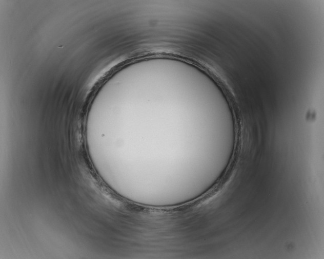 X0000112150782200908071002