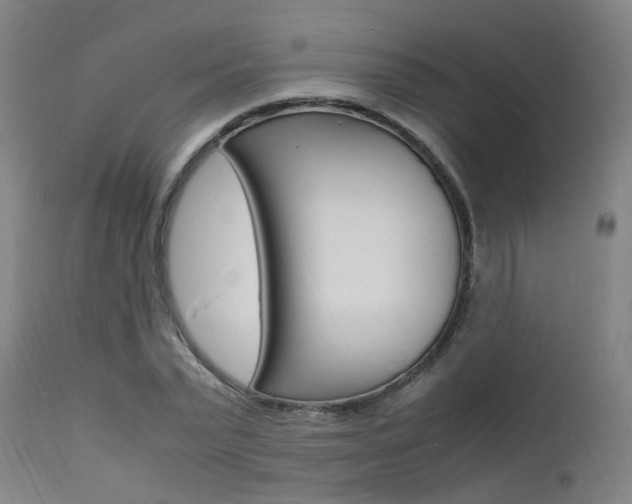 X0000112150783200908071002
