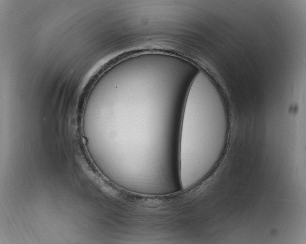 X0000112150784200908071002