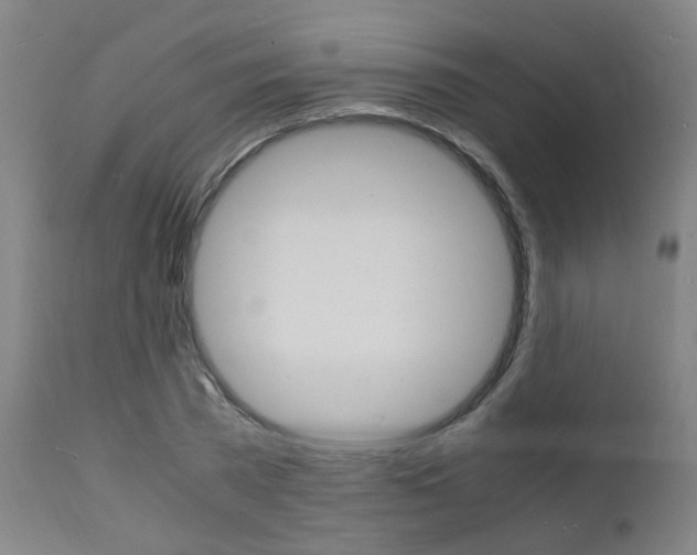 X0000112150785200908071002