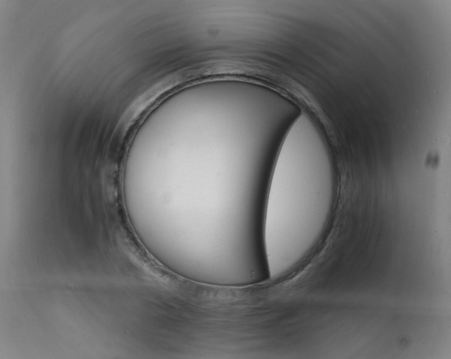 X0000112150786200908071002