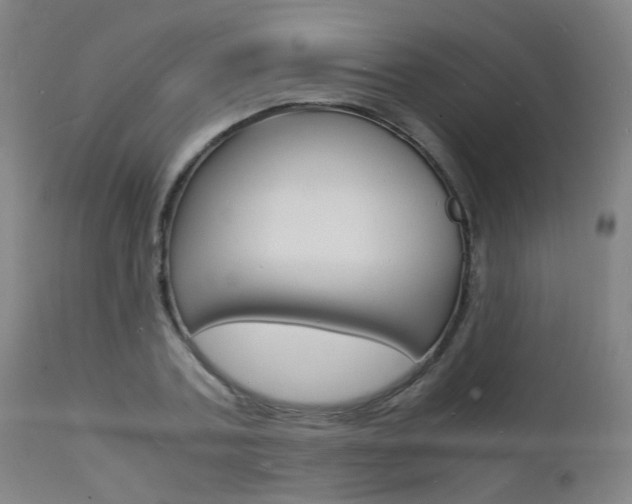 X0000112150787200908071002