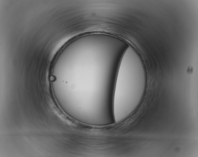 X0000112150788200908071002