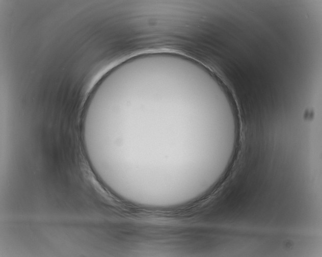 X0000112150789200908071002