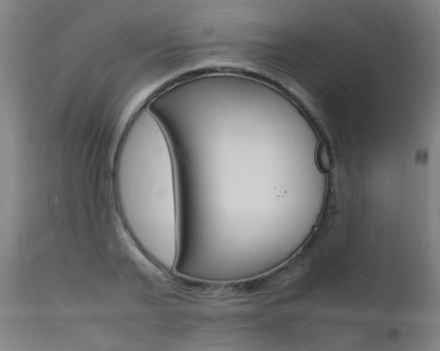 X0000112150791200908071002