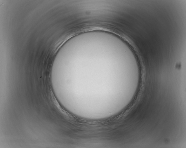 X0000112150793200908071002