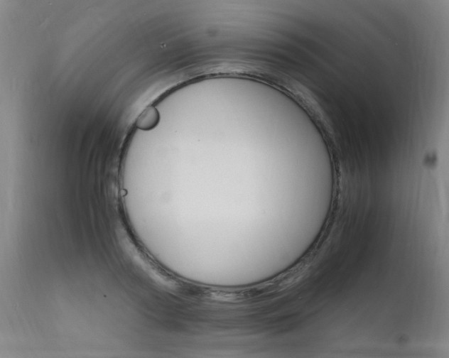 X0000112150794200908071002