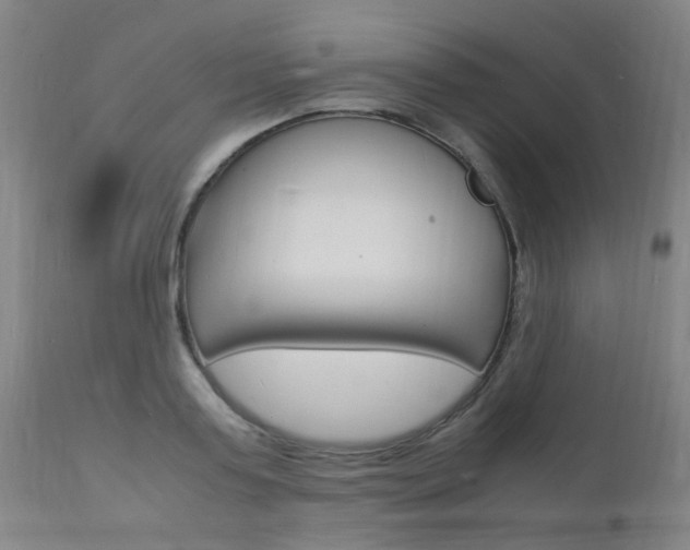X0000112150795200908071002