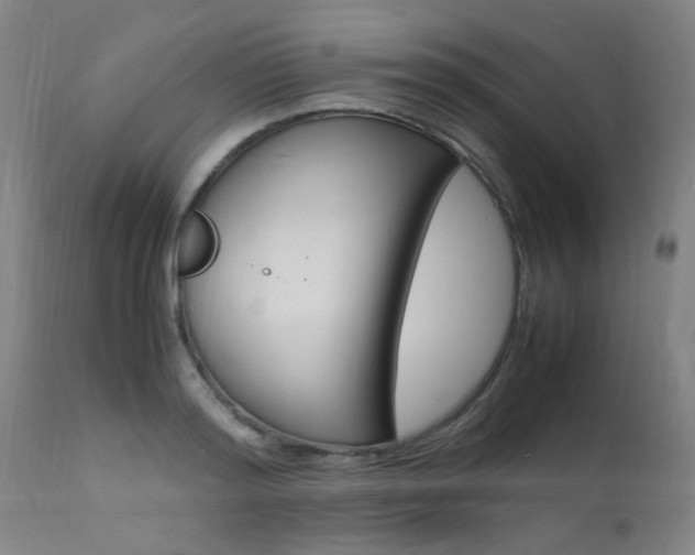X0000112150796200908071002
