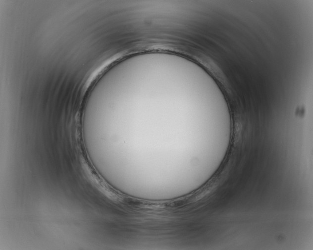 X0000112150798200908071002