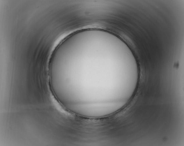 X0000112150800200908071001
