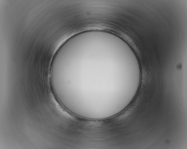 X0000112150802200908071001
