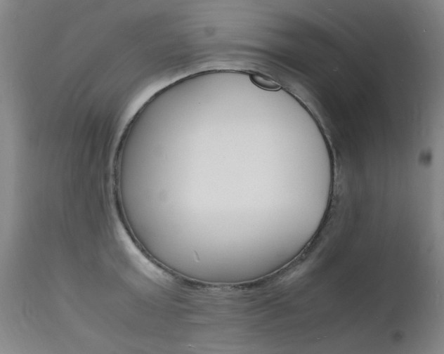 X0000112150803200908071001