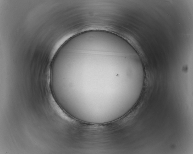 X0000112150804200908071001