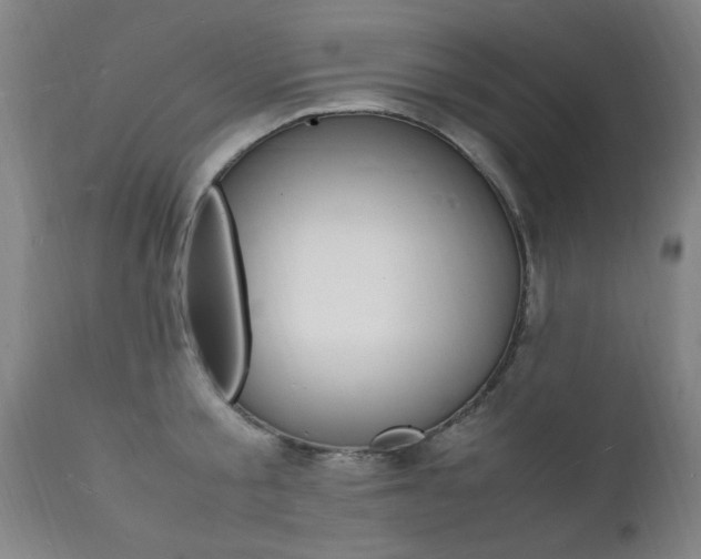 X0000112150805200908071001