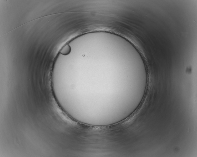 X0000112150806200908071001