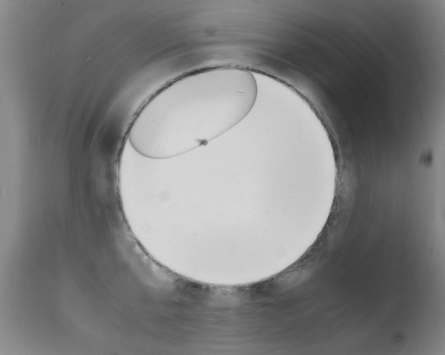X0000112150807200908071001