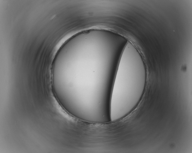 X0000112150808200908071001