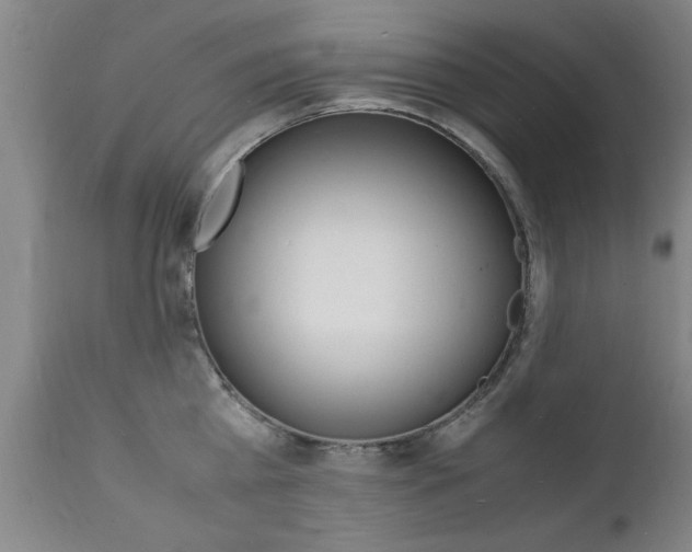 X0000112150809200908071001