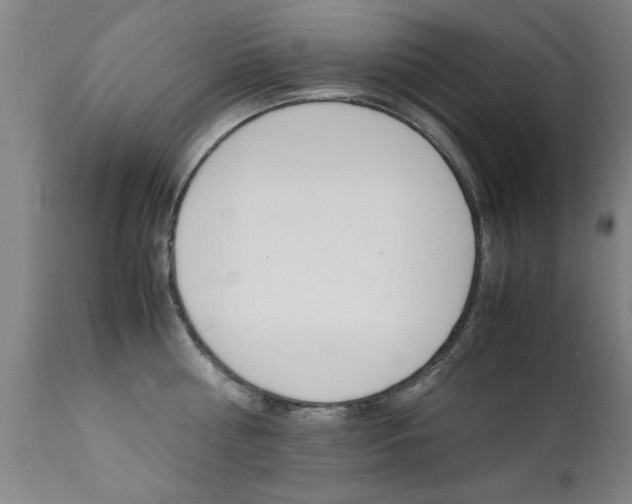 X0000112150810200908071001