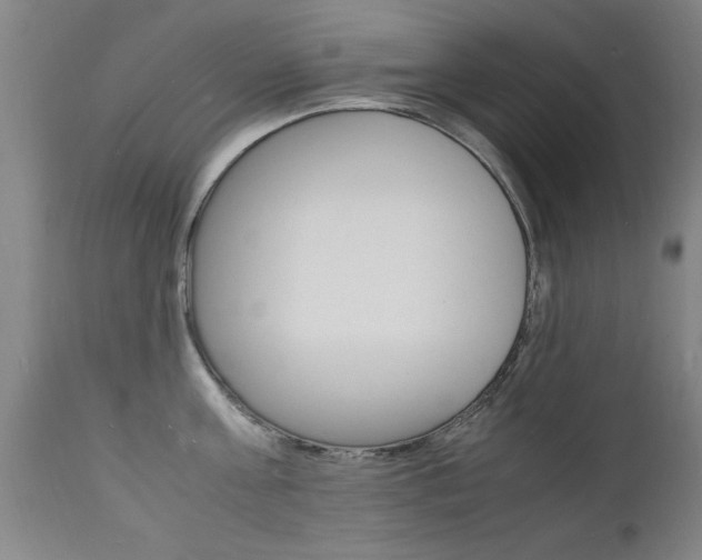 X0000112150811200908071001