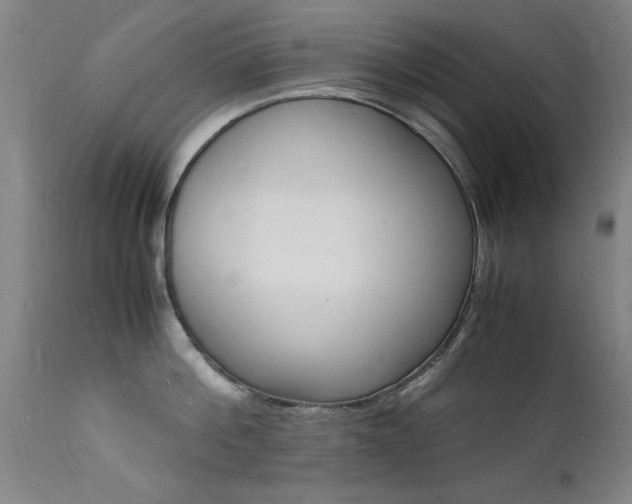 X0000112150812200908071001