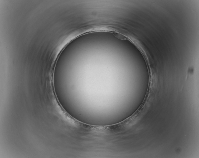X0000112150813200908071001