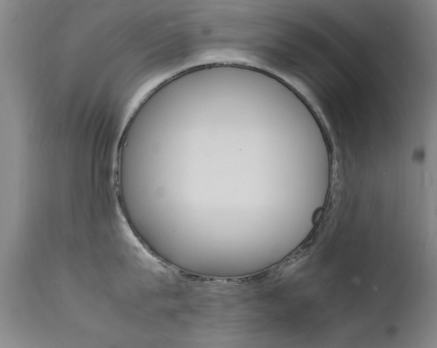 X0000112150815200908071001
